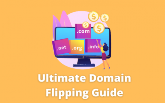 A Guide To Domain Name Flipping